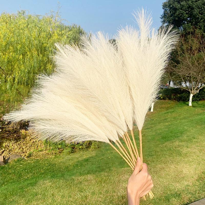 iarba de pampas decorativa 5 9190